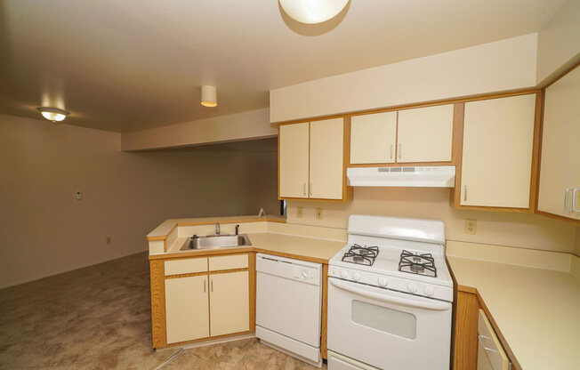 Kitchen with Dishwasher and Gas Range at Canal Club Apartments in Lansing, MI