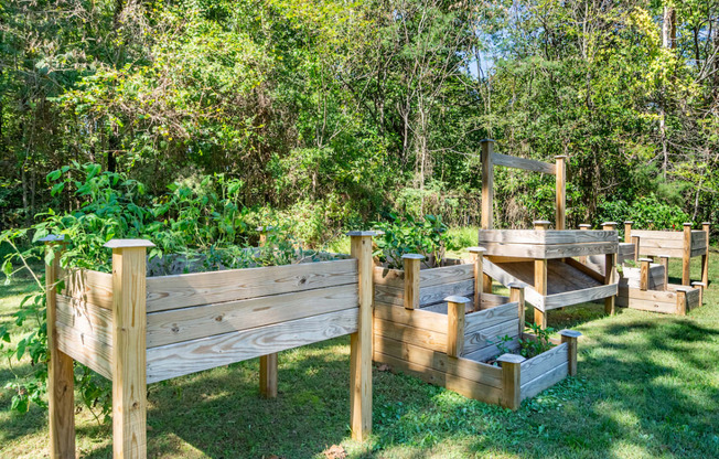 a garden with a wooden fence and plants in it