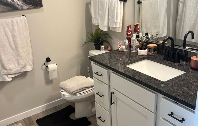 Studio, 1 bath, 507 sqft, $1,195, Unit 500-206