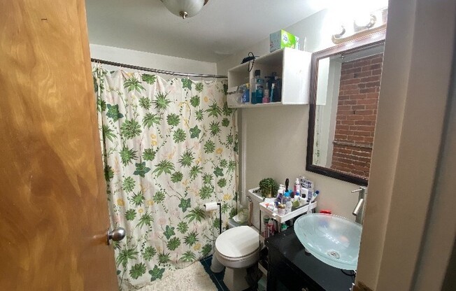 1 bed, 1 bath, $3,100, Unit 007