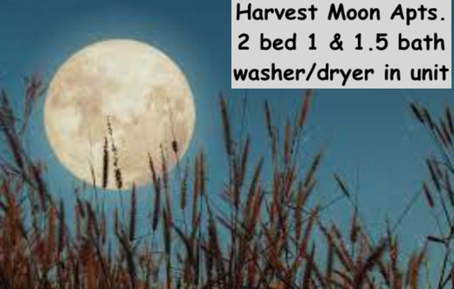 1922 Harvest Moon