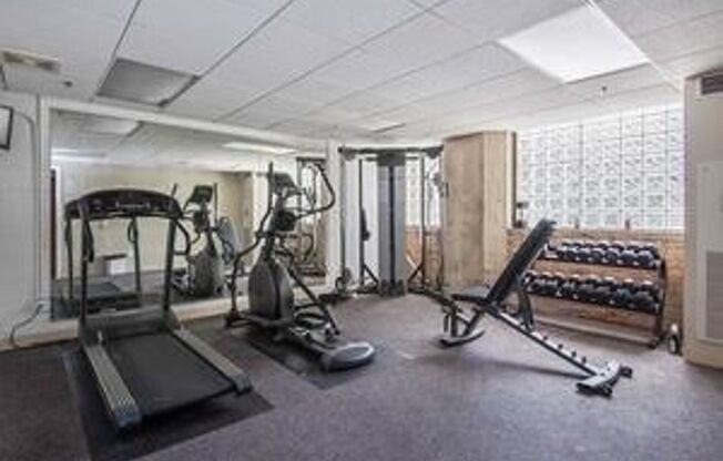 South Loop Chicago 1 Bed 1 Bath Apartment