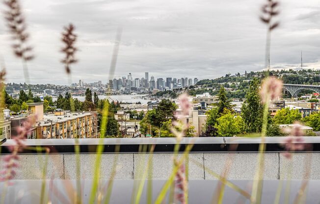 Studio, 1 bath, 314 sqft, $1,471, Unit 219