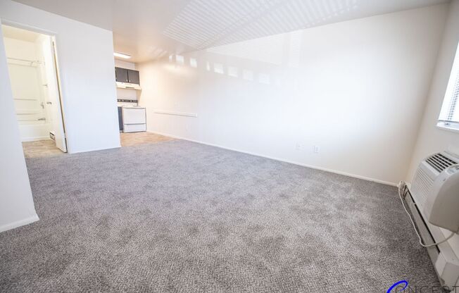 Studio, 1 bath, 360 sqft, $710, Unit 275