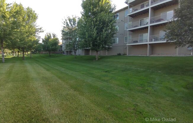 2 beds, 1 bath, $1,130