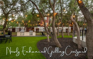 a backyard with lights hanging from the trees