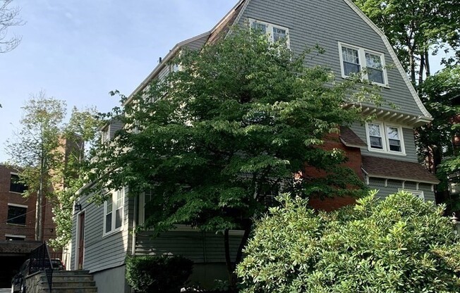 15 BRAEMORE RD