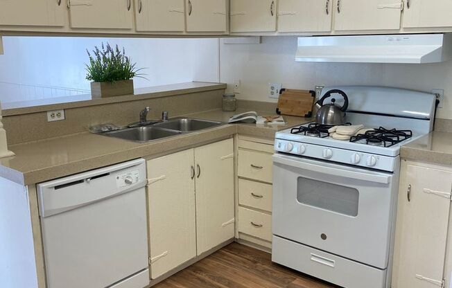 1 bed, 1 bath, 576 sqft, $2,395, Unit 31B