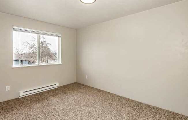 A room with a carpeted floor and a window showing a tree outside.