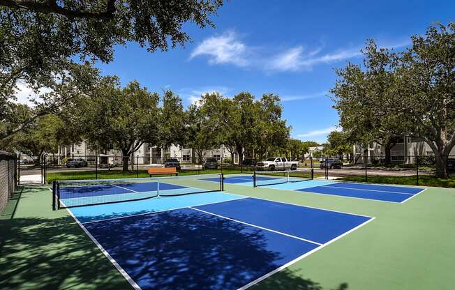 Dominum_Lucille_Pickleball Court 1.jpg