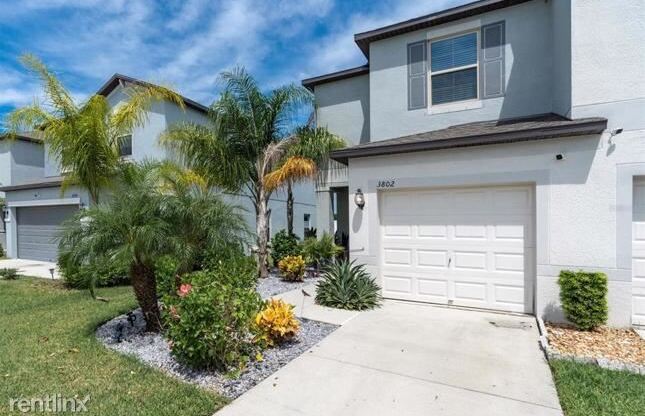 3802 R Cat Mint St