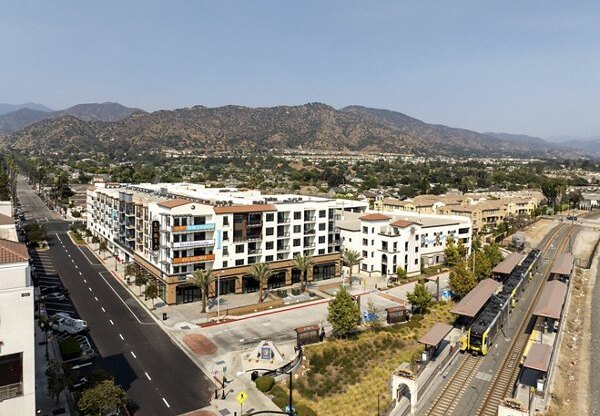 Lumia in Azusa