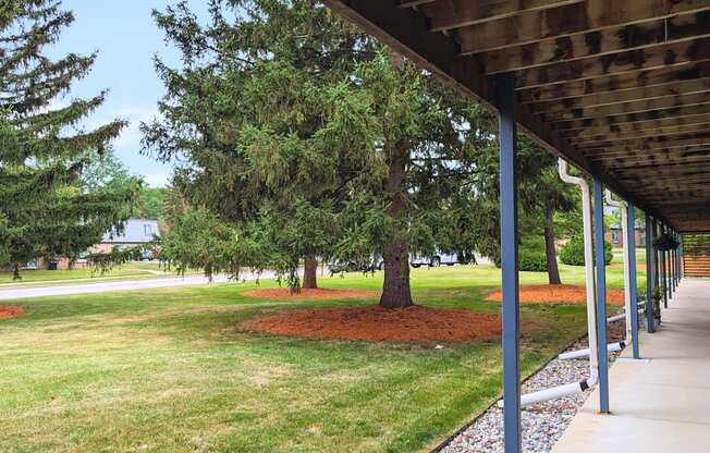 A tree with a red mulch base is in the middle of a grassy area.