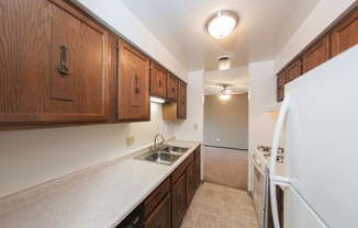 Apartment Kitchen