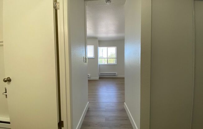 Studio, 1 bath, 405 sqft, $995, Unit Unit 310