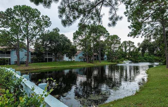 the pond in front of the apartments is surrounded by trees