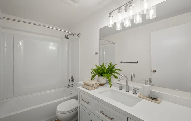 2 beds, 1 bath, 725 sqft, $2,560, Unit 310