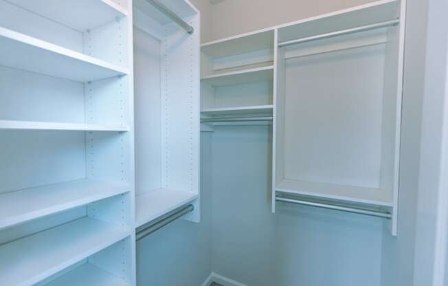 A white pantry with shelves and a door open.