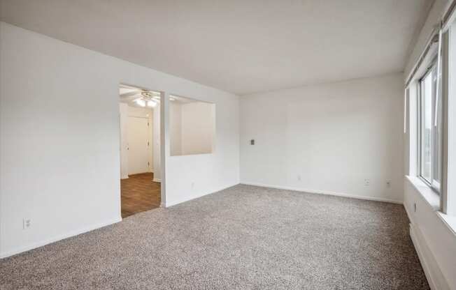 Living Room with Plush Carpeting