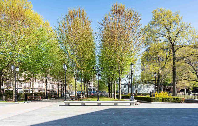 A park with a bench and trees.