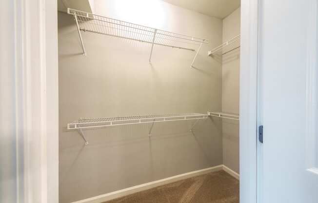 Courtney Station Apartments - Walk-in closet