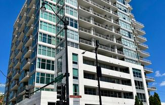 Breathtaking South Loop 2 Bed/2 Bath East Facing Unit! Huge Balcony! Water, Gas, Heat, & Storage INCLUDED!