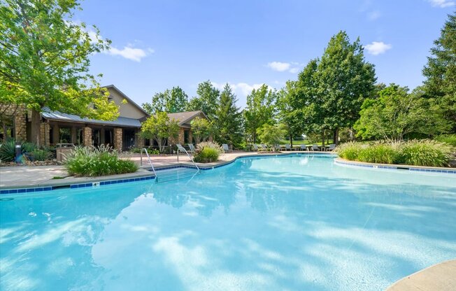 A large swimming pool in a backyard with a house and trees in the background.