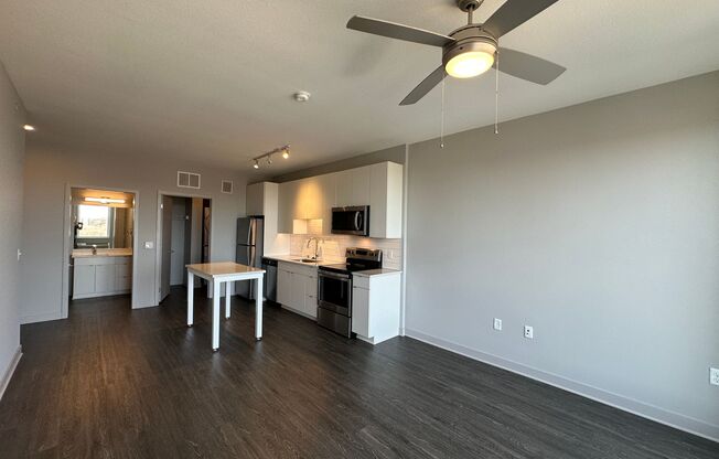 Studio, 1 bath, 455 sqft, $1,245, Unit 214