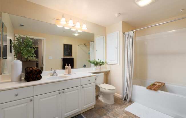 a bathroom with a large mirror and a sink and a toilet