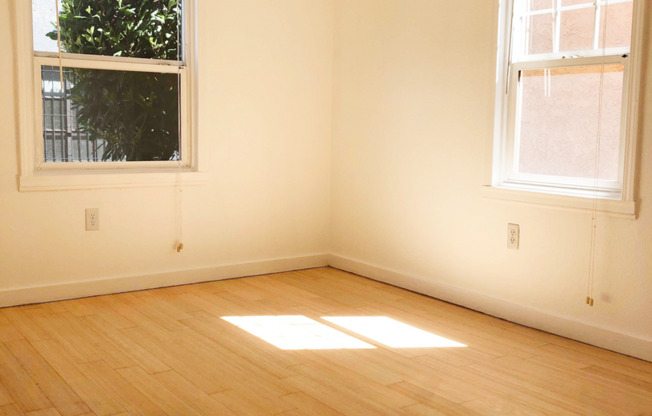 1 bed, 1 bath, 502 sqft, $1,629, Unit 206