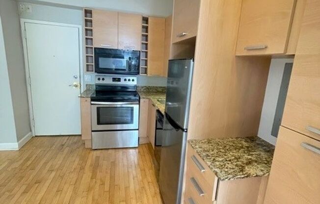 Studio, 1 bath, $1,300, Unit 103