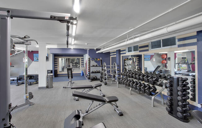 Work out and have fun in the newly designed fitness center