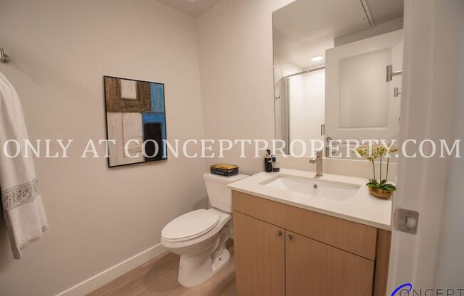 Studio, 1 bath, 300 sqft, $1,399, Unit 1-223