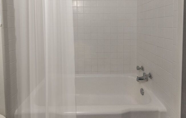 Studio, 1 bath, $590, Unit 218