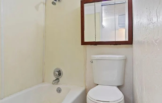 Studio, 1 bath, 235 sqft, $700