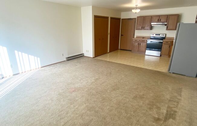 1 bed, 1 bath, 720 sqft, $850, Unit Apt 03