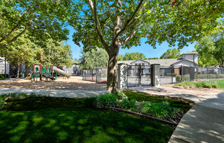 A playground with a swing set and a slide is surrounded by a fence and trees.