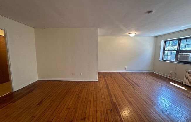 Studio, 1 bath, 487 sqft, $1,200, Unit Fifth 207