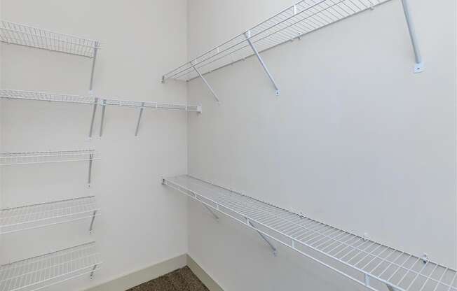 Built-In Shelving In Berewick Pointe Closet in Charlotte, NC Apartment Homes