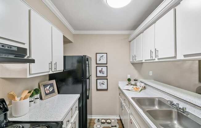 Model Kitchen at Davenport Apartments in Dallas, TX