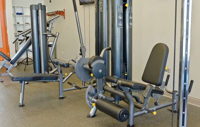 Tapestry Naperville Apartments Professional Weight Training Equipment