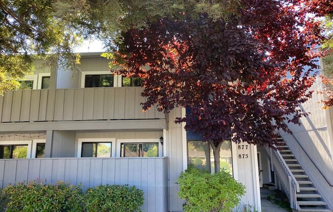877 Cherry Creek Cir