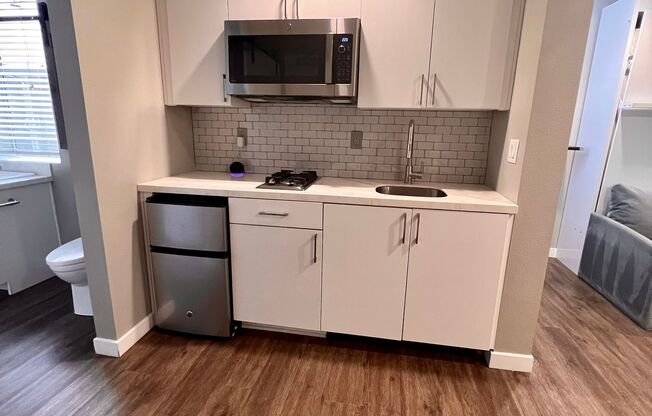 Studio, 1 bath, 310 sqft, $1,750, Unit 435-107