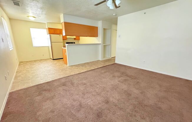 Ortiz Apartments #1