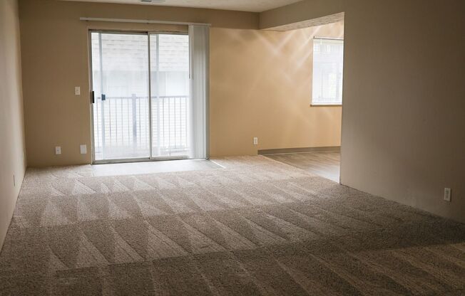 2 beds, 1 bath, 955 sqft, $1,015, Unit 803-1