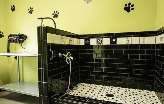 a shower in a black tiled bathroom with paw prints on the wall