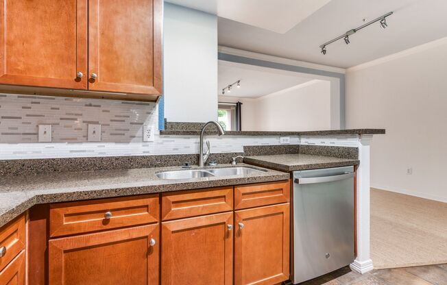 A Las Colinas Luxurious 1 Bedroom Condo!