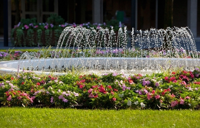 1 bed, 1 bath, 500 sqft, $2,550, Unit 309