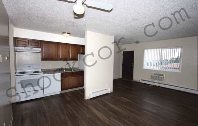 1 bed, 1 bath, 645 sqft, $1,000