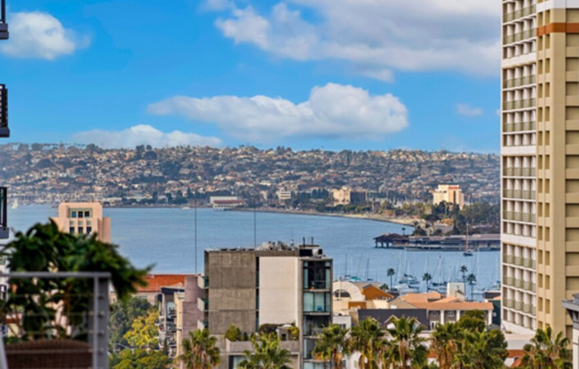 303 - 321 Olive Street San Diego, CA 92103